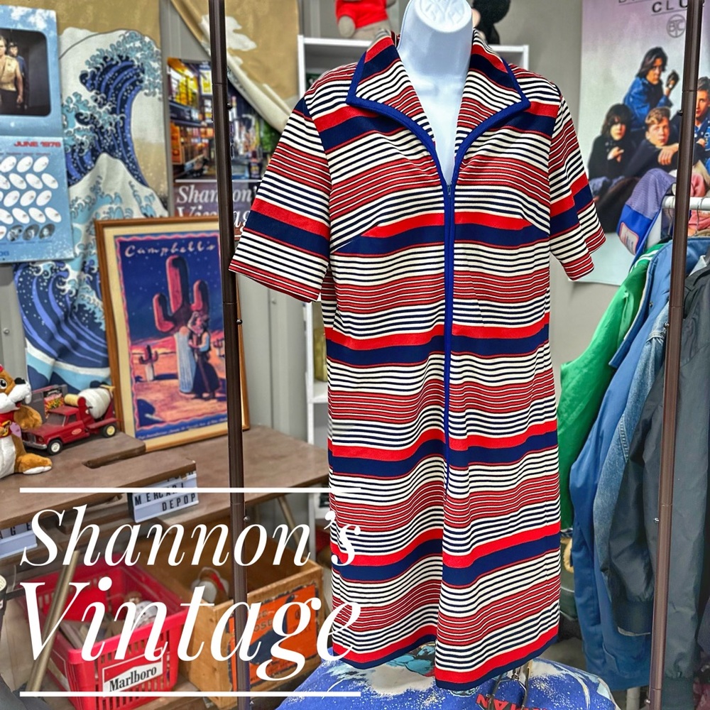 Lady Robin VNTG 1960’s style sz XL dress A44